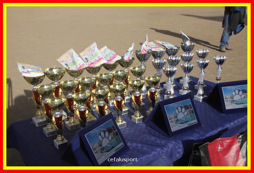 180311 mostra_canina 165.jpg